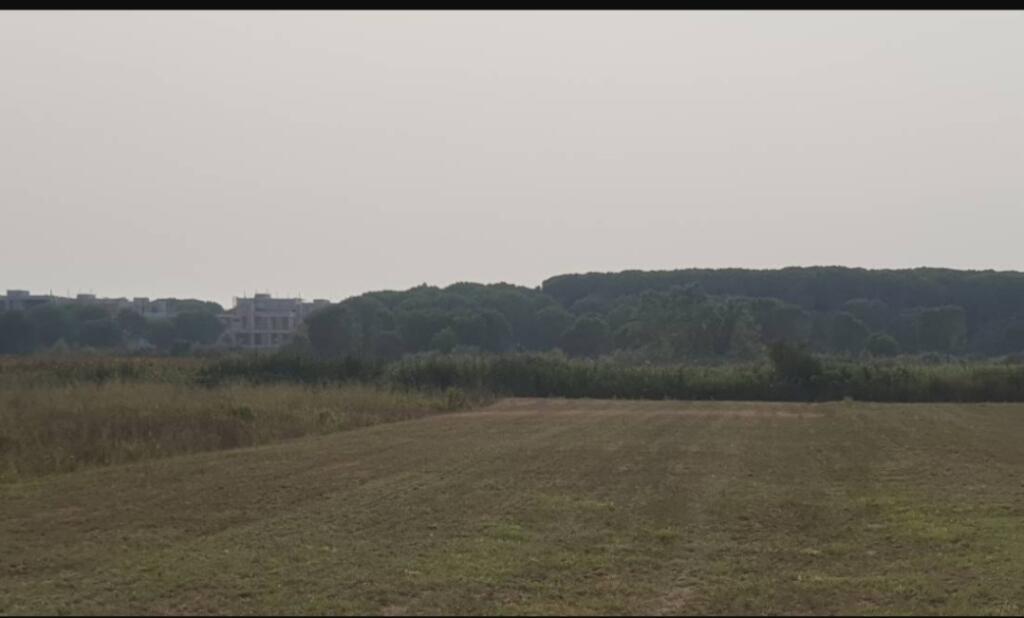 For sale 8000 m2 land Gjiri Lalzit