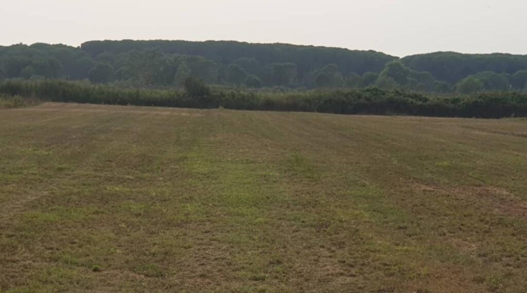 For sale 8000 m2 land Gjiri Lalzit