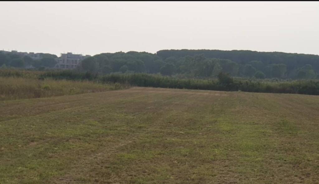 For sale 8000 m2 land Gjiri Lalzit