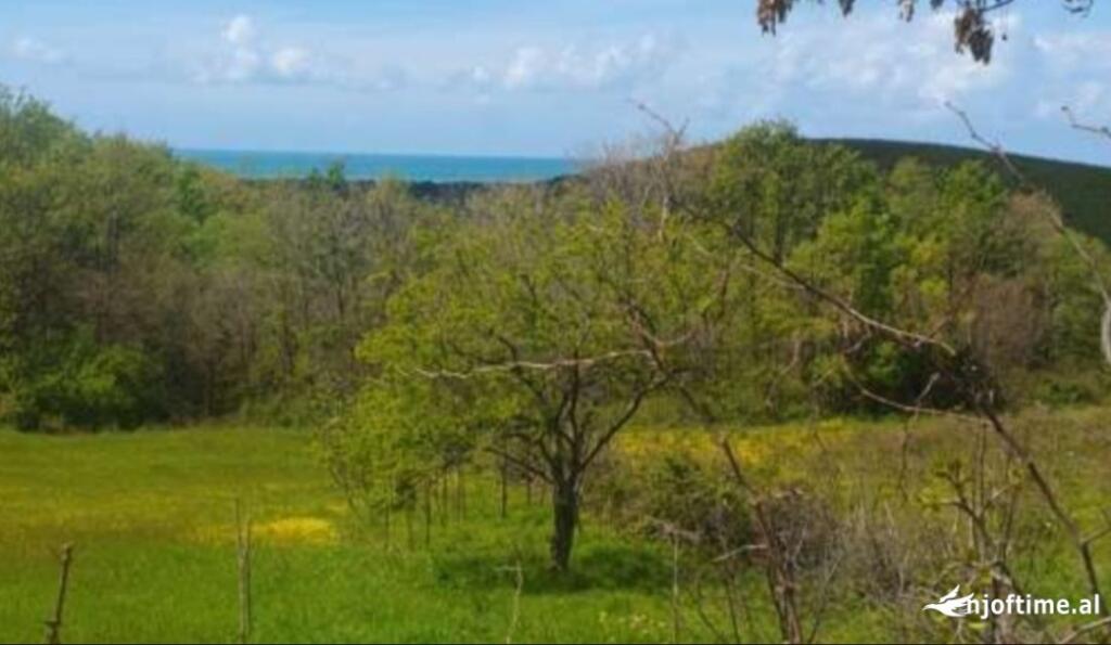 Land for sale in Lalzit Bay