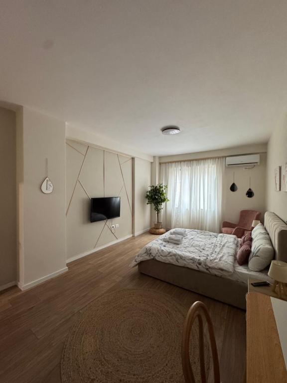 Apartament Me Qera 2+1 Tek 21 Dhjetori (ID B220819) Tirane.