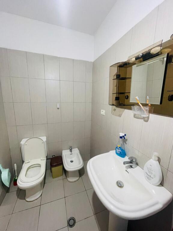 Apartment for rent 1+1 Electric Market