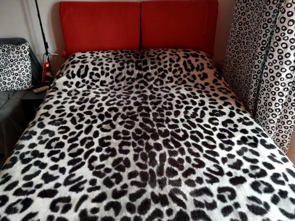 Apartament Me Qera 2+1 Tek 21 Dhjetori (ID B2201365) Tirane.