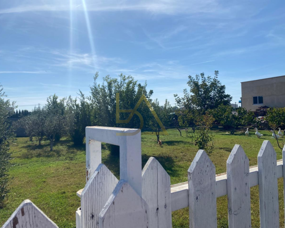 📍 SHITEN 2 KAPANONE + VILË NË LEZHË