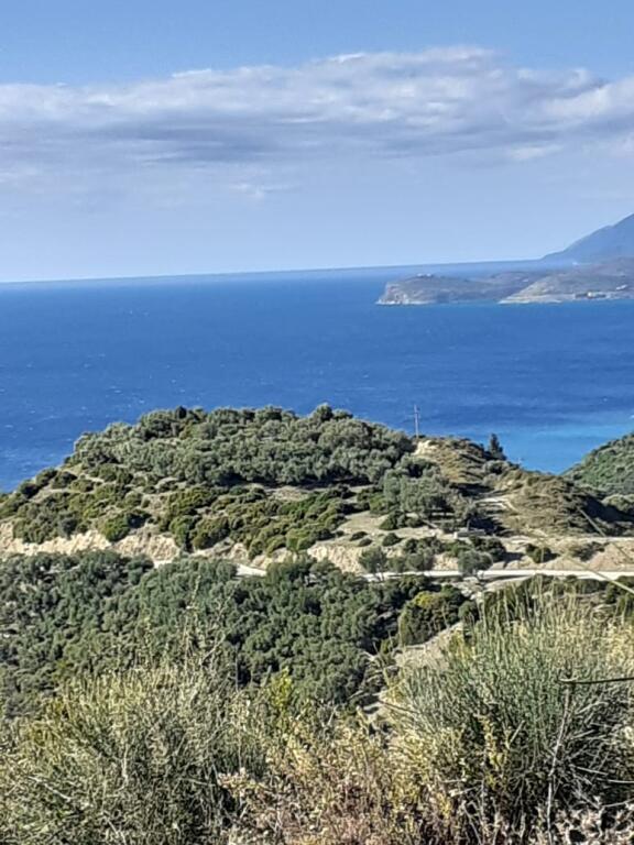 For sale 12,000 m2 of agricultural land in Lukove FOR INVESTMENT