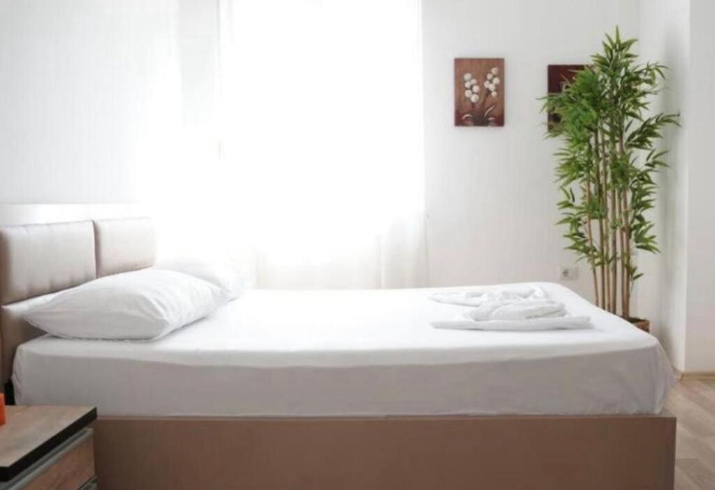 Apartament 1+1 me Qira (perfshire administrimin) - Qendër, përballë Toptanit