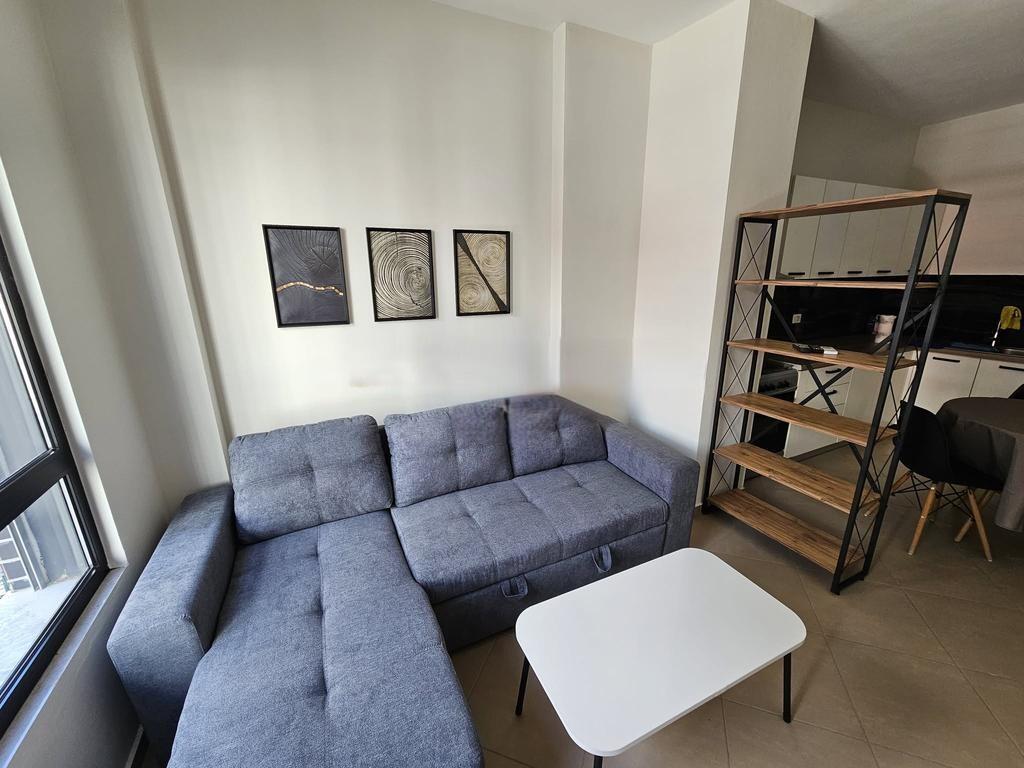 KOMPLEKSI ARLIS "FARMACIA 10", JAPIM ME QIRA APARTAMENT 1+1