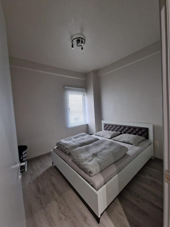 ZOOLOGICAL GARDEN 1+1 FOR RENT