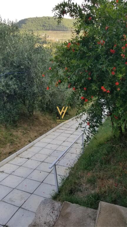 SHTEPI PRIVATE 2+1 ME QERA NE PICALLE