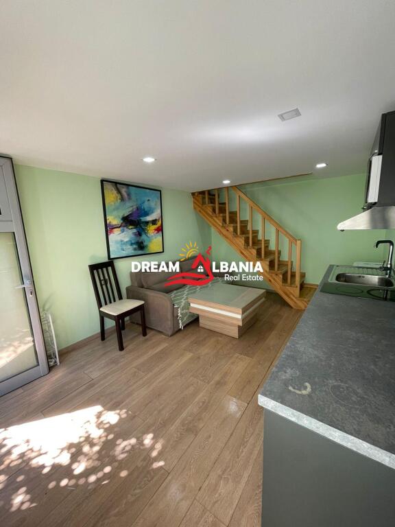1+1 apartments for rent at 21 December, Frosina Plaku Street in Tirana (ID 4211283)