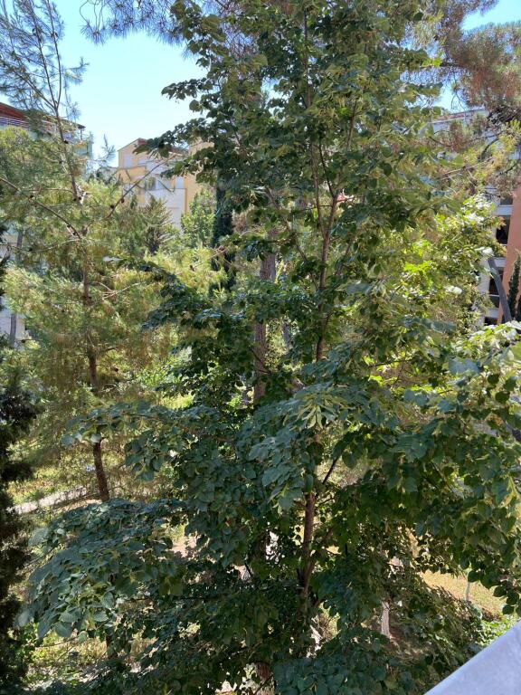 Apartament Modern Golem/ Kompleksi Freskia 2+1+2Wc 100 m larg detit