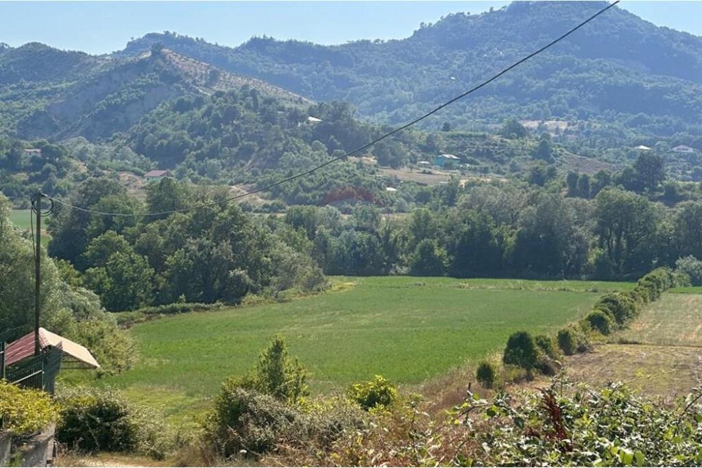 LAND FOR SALE IN LAPIDARI OF PEZË!