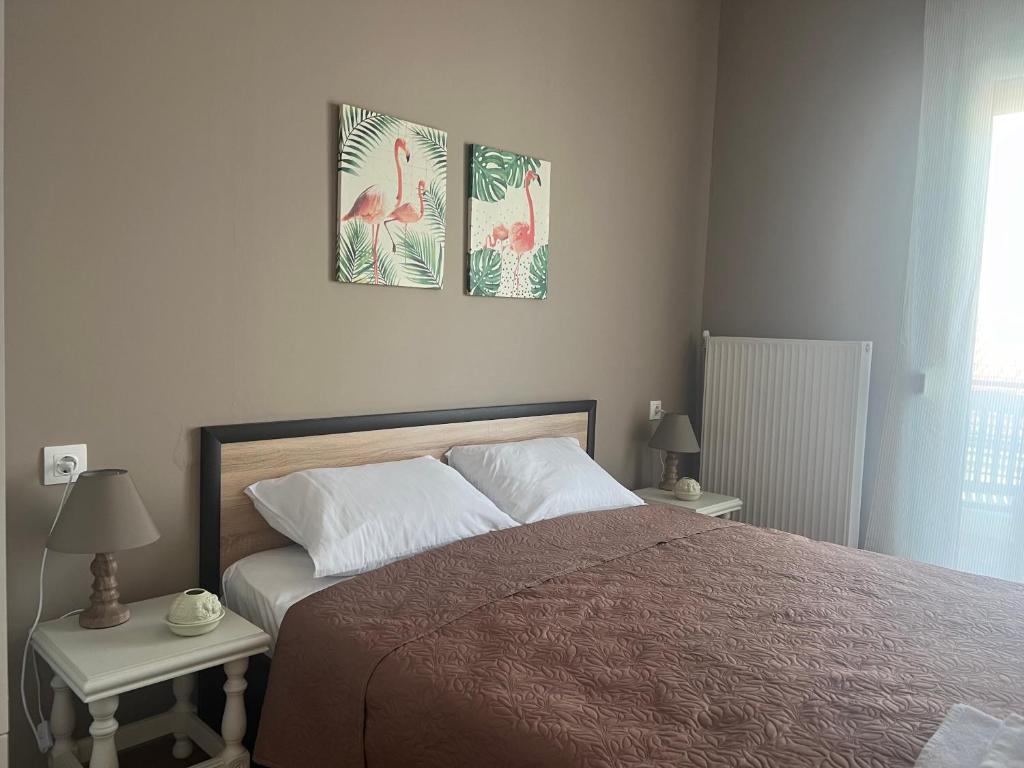 Appartamento in affitto 1+1 ad Astir (ID B2101166) Tirana.