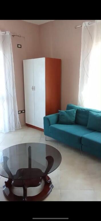 Appartamento 1+1 in affitto, via Sali Nivica, Ali Demi