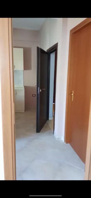 Appartamento 1+1 in affitto, via Sali Nivica, Ali Demi