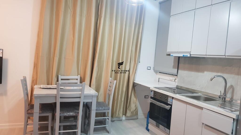 APARTMENT FOR RENT 1+1 PARIS COMMUNE