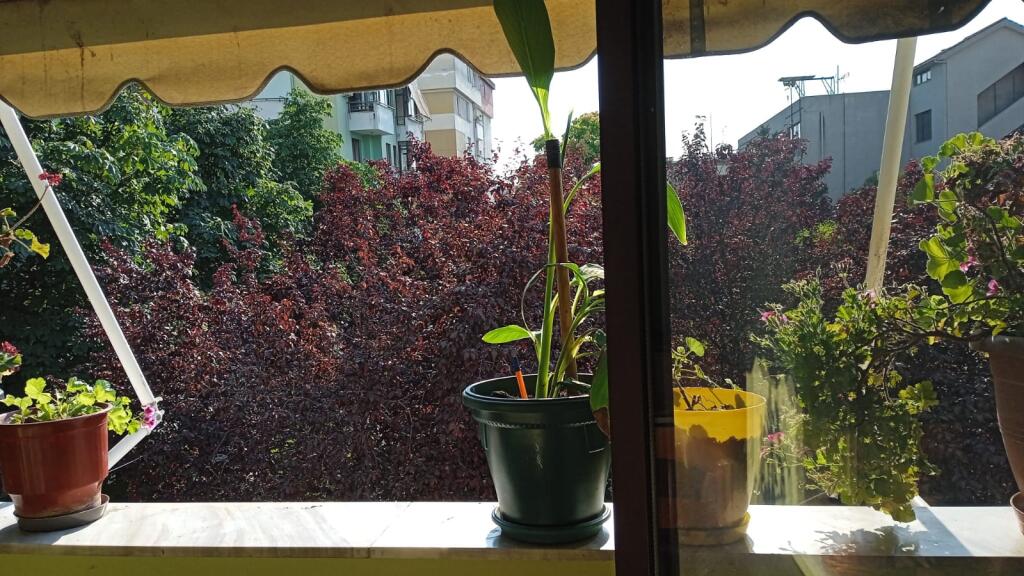 Apartament 3+1