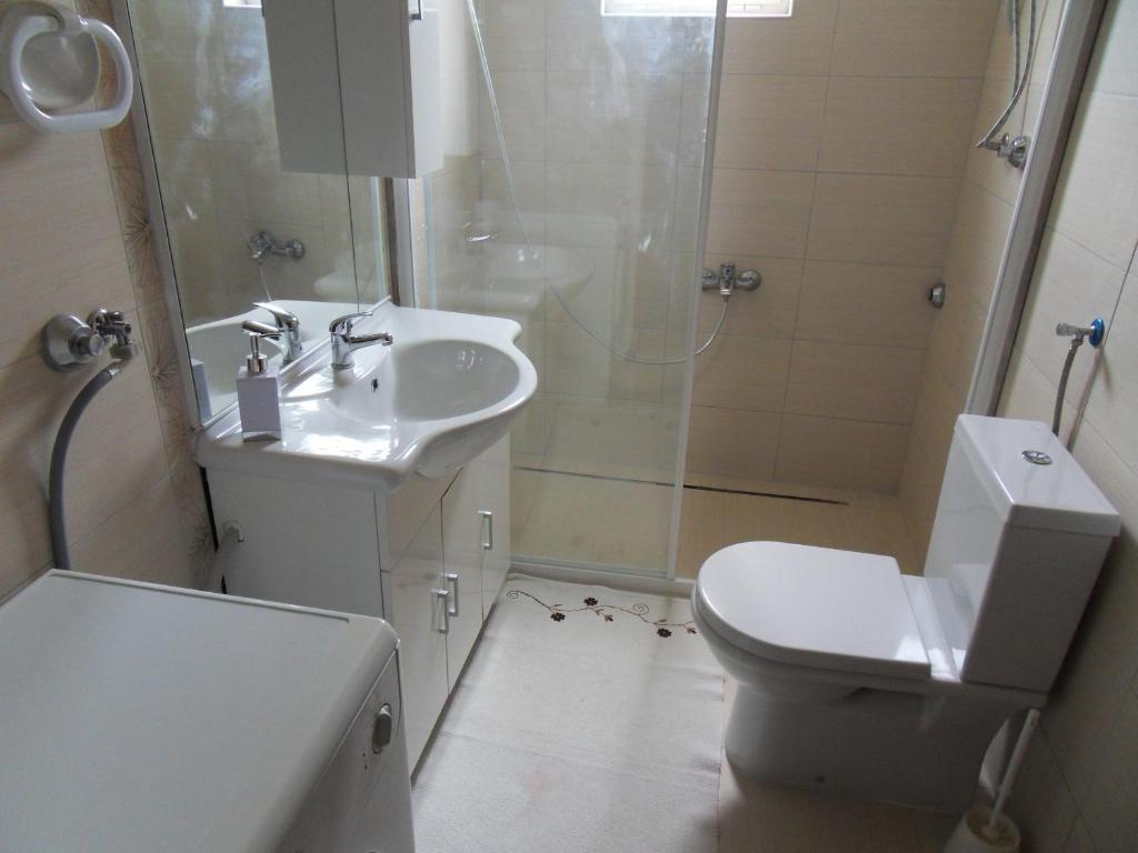 Apartament Me Qera 1+1 tek Rruga e Elbasanit (ID B211359) Tirane