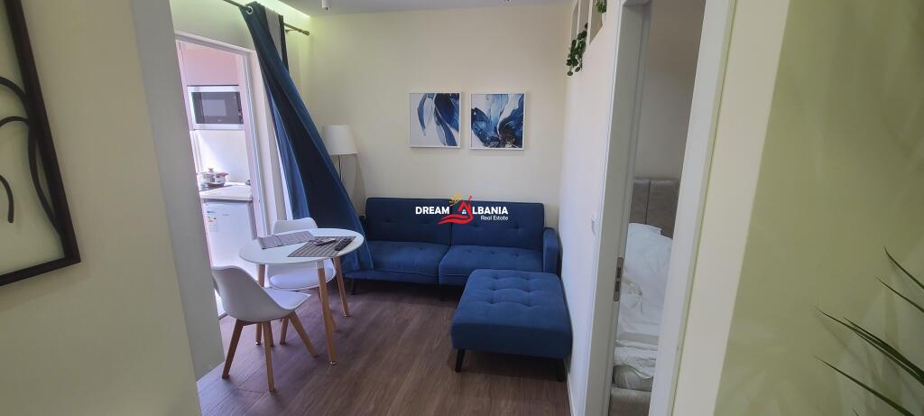 Apartment 1+1 for Rent in the Center (Mine Peza Street) in Tirana (ID 42111416)