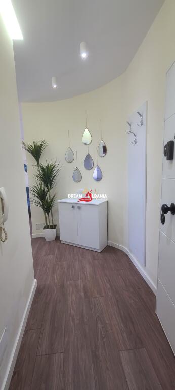 Apartment 1+1 for Rent in the Center (Mine Peza Street) in Tirana (ID 42111416)