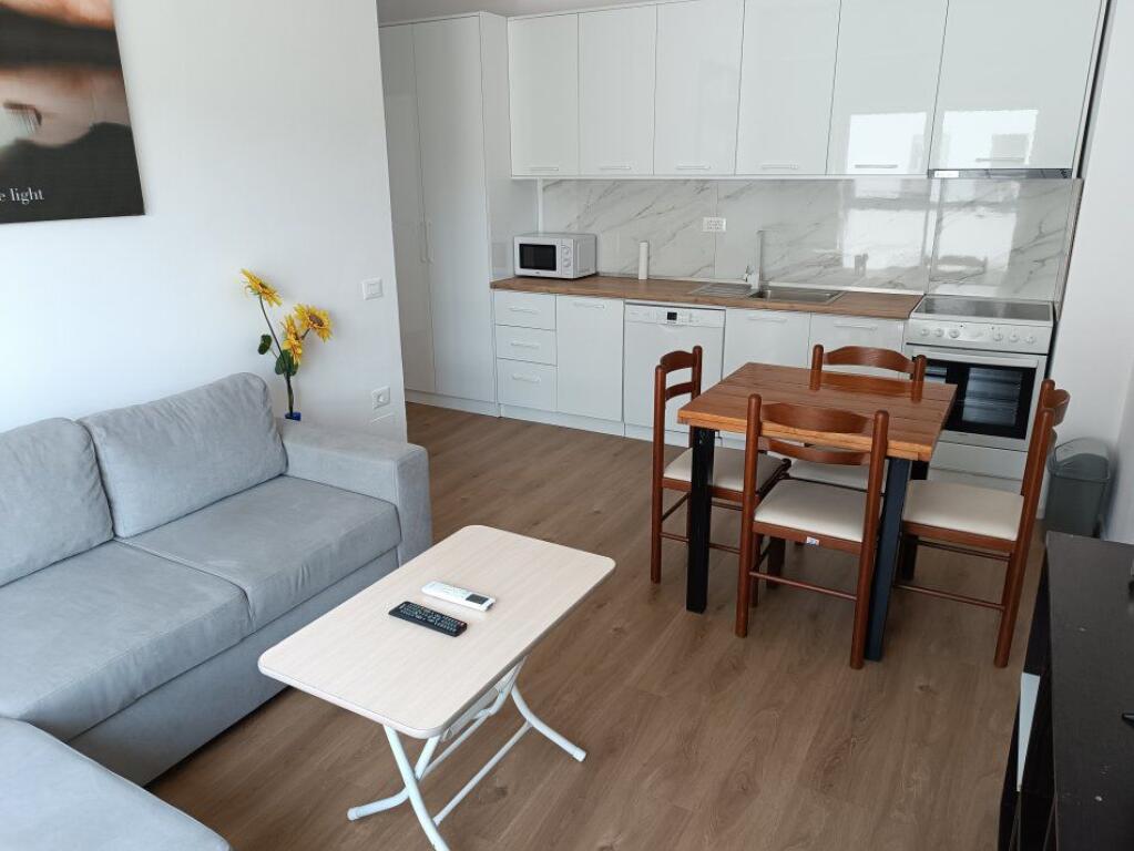 AFFITTASI APPARTAMENTO 2+1 45000 LEKE ALI DEMI