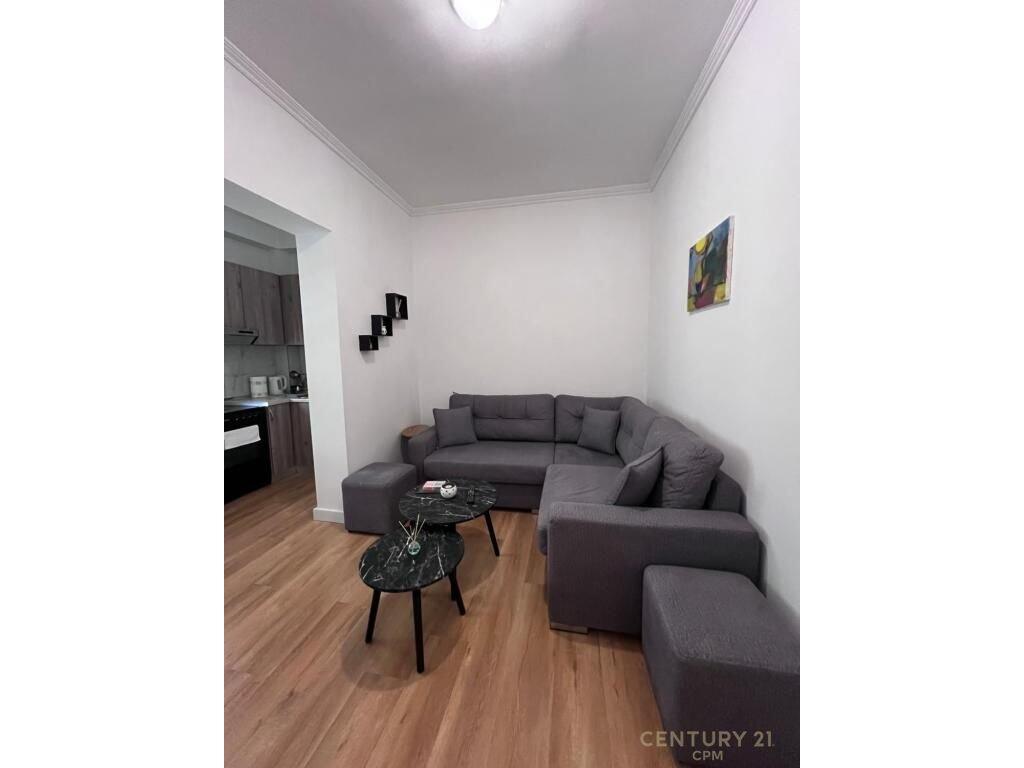 VILLA FOR RENT IN THE MUNICIPALITY OF PARIS – SUITABLE FOR RESIDENCE OR BUSINESS