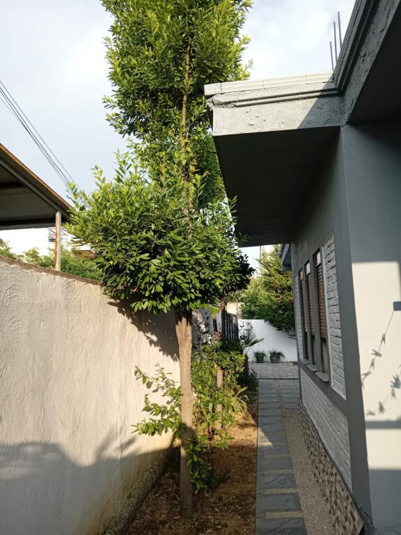 Casa Privata in Vendita a Mzez   