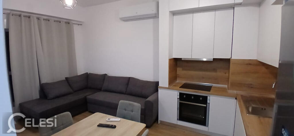 APPARTAMENTO IN AFFITTO 1+1