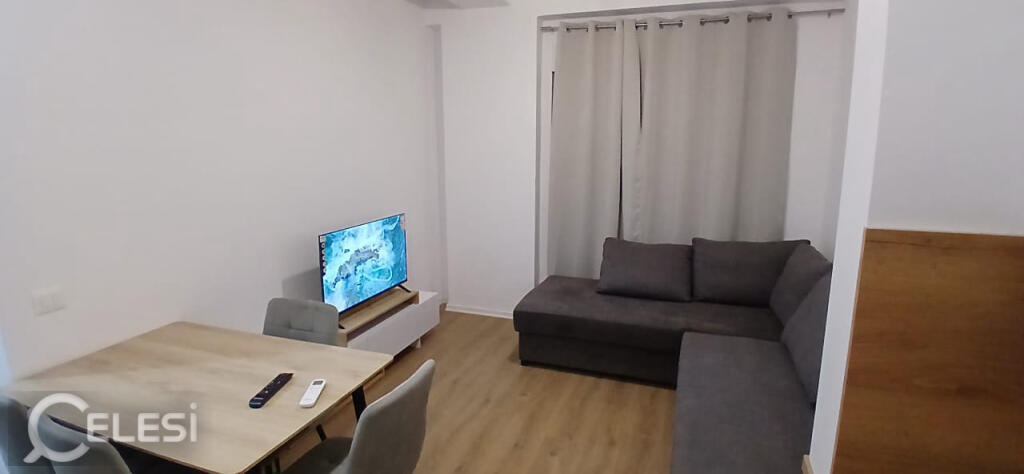 APPARTAMENTO IN AFFITTO 1+1