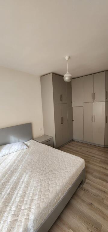 Jepet me qera Apartamenti 2+1+1, prane kopshtit zoologjik, Liqeni Thate
