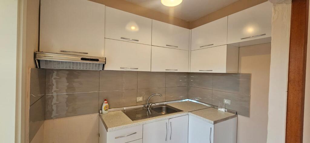 APARTAMENT 1+1 TEK RRUGA ALI DEMI
