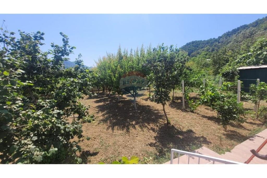 Vilë 2 Kateshe +papafingo- Për Shitje - Vishnjë, Baldushk, Tiranë