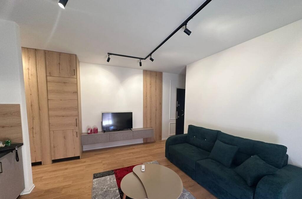 APARTMENT FOR RENT 1+1 SELITE 550 EURO