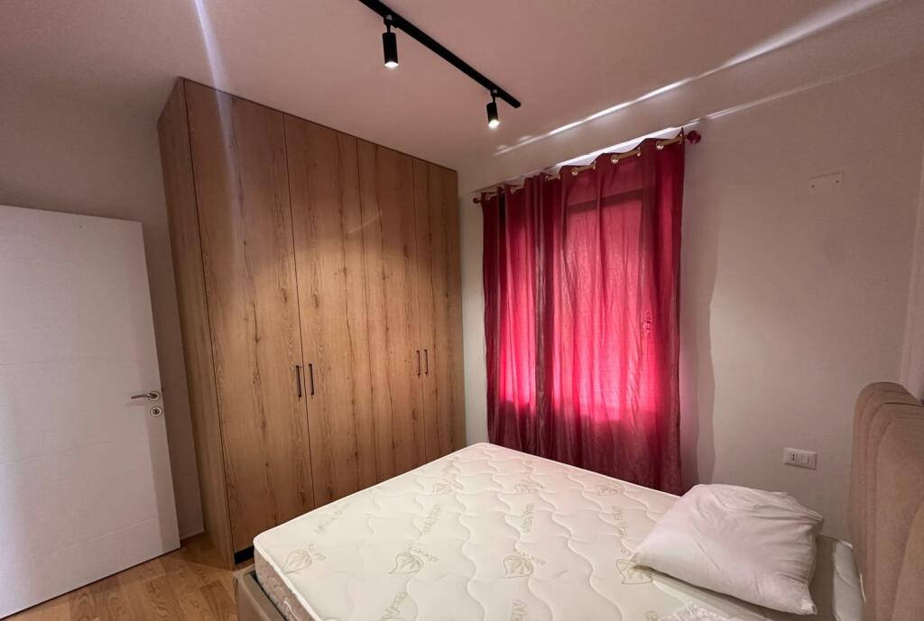 APARTMENT FOR RENT 1+1 SELITE 550 EURO