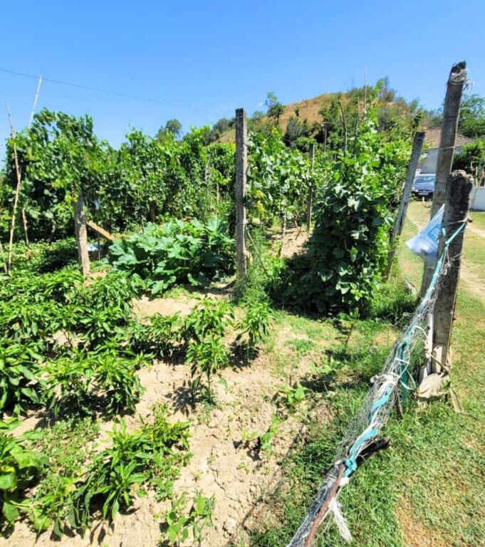 For sale – Private house in the village of Helmas, Kavajë