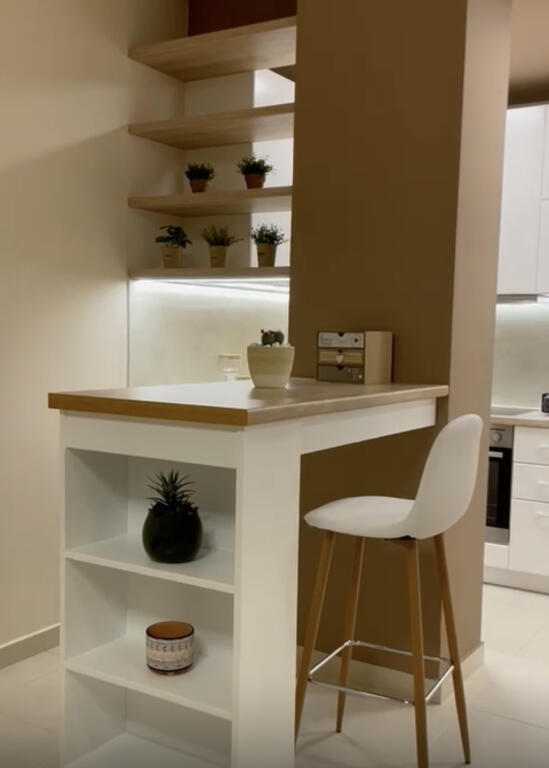 1+1 apartment for rent near Radison!