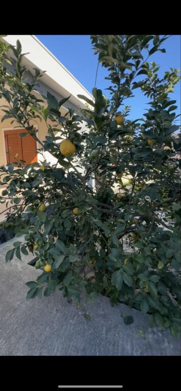 Appartamento 2+1 in vendita a Vlore