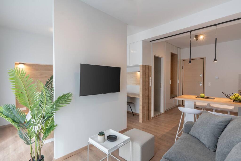 Apartment For Rent 1+1 Near the Dry Lake (ID B2101187) Tirana