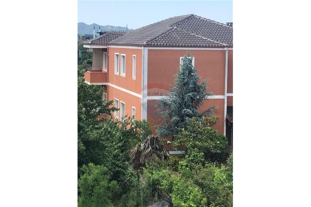Shitet Vilë, Kamëz