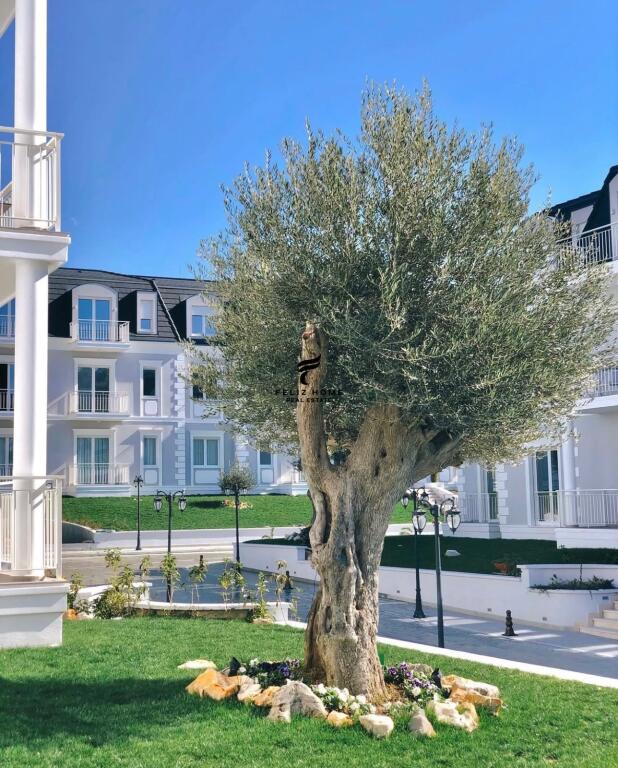 APARTMENT FOR RENT 2+1 TEG 290,000 EURO