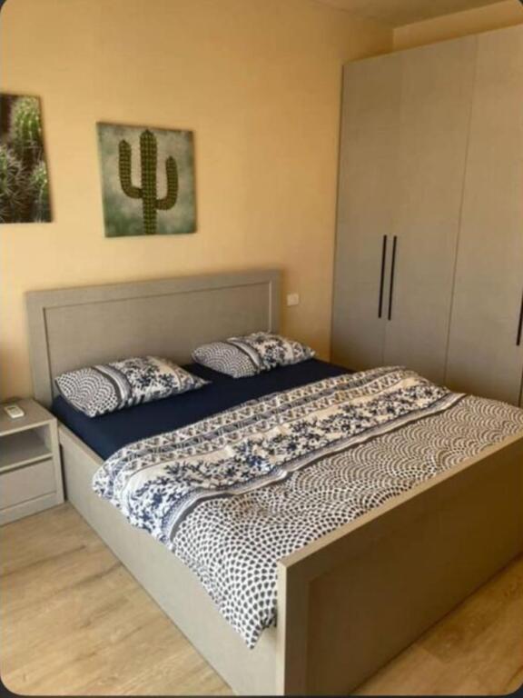!! For rent 1+1 , Selvia , 550 Euro !!