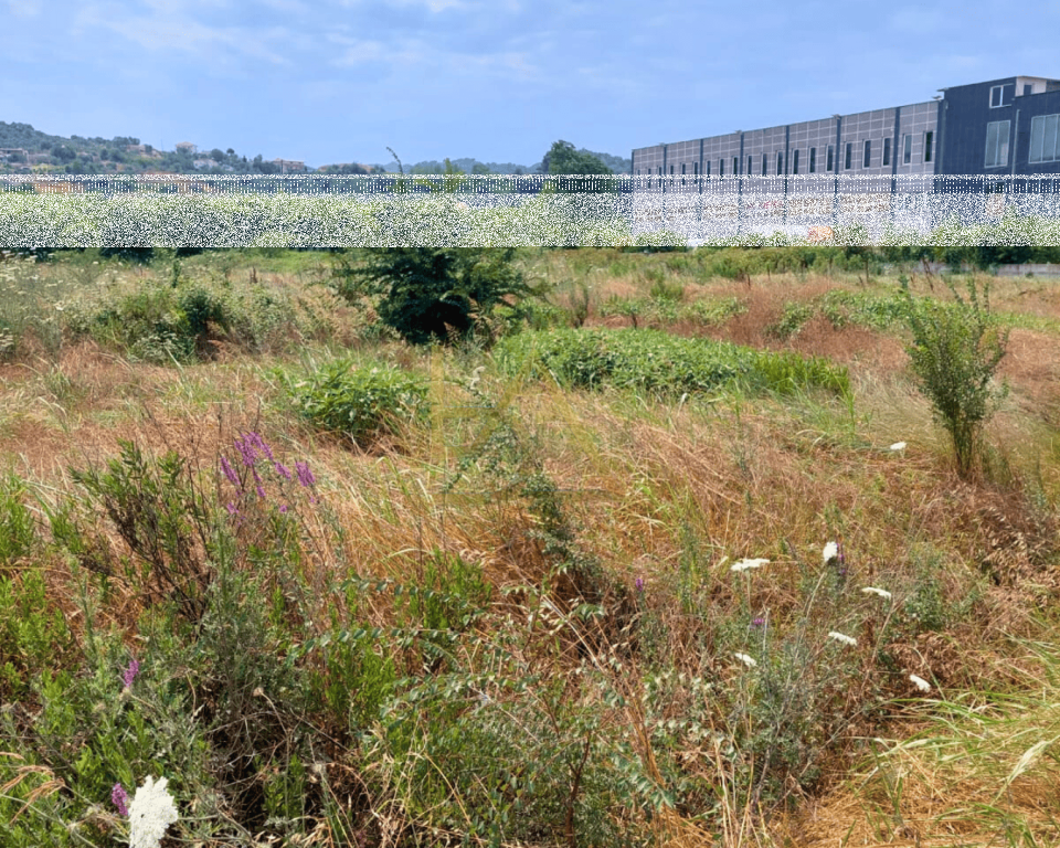 Land/Field for Sale – Mucaj, Vorë
