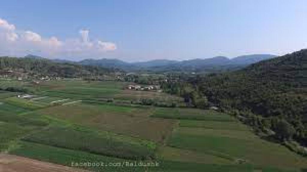 Olive grove land for sale in Baldushk (ID 4191181)