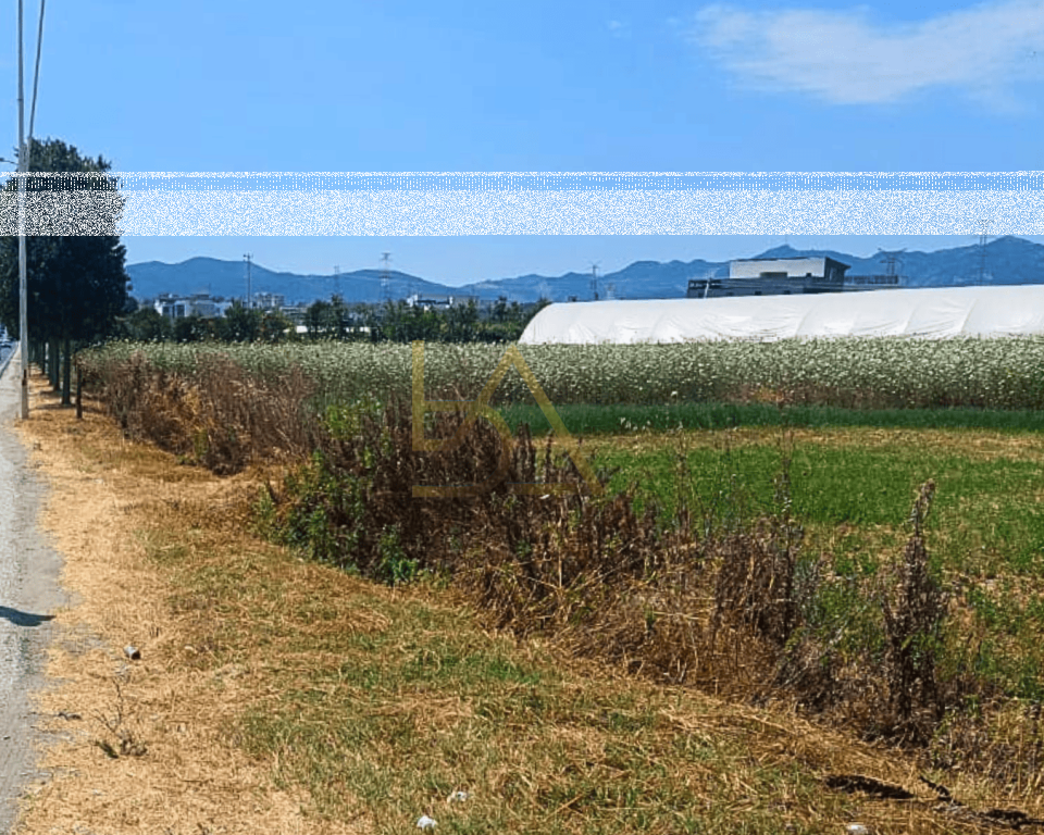 Agricultural Land for Sale – Berxull, Vorë