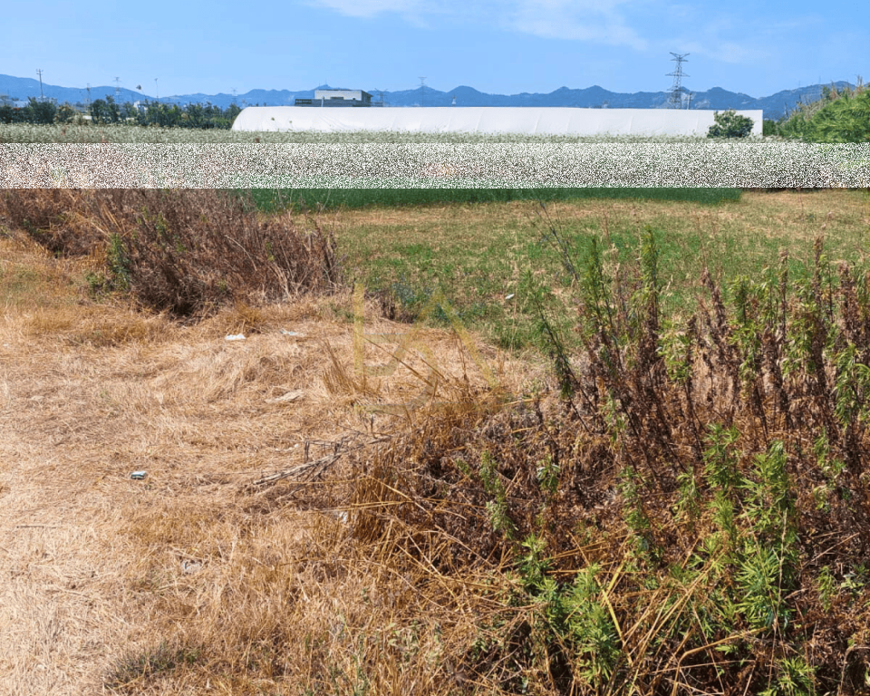 Agricultural Land for Sale – Berxull, Vorë
