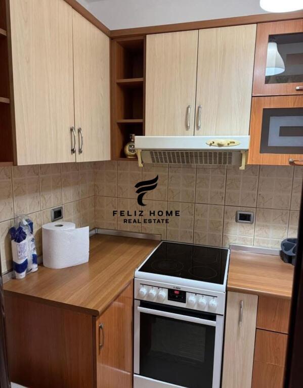APARTMENT FOR RENT 1+1 UNITED SCHOOL 450 EURO