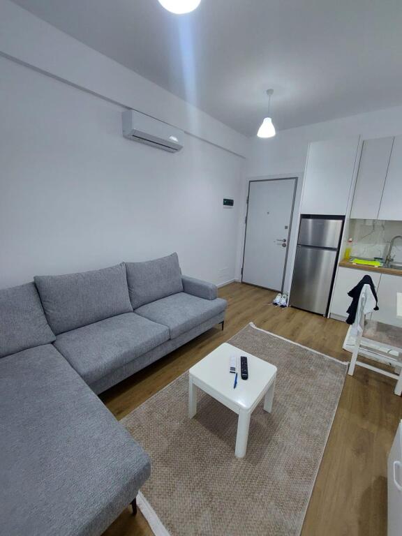 Apartment 1+1+Parking for rent, Fresk