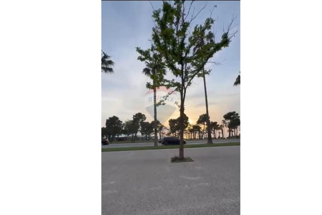 Vlore - Lungomare, business premises for sale Floor 0, 555 m² 2,340,000 € (ID: 530571001-39)