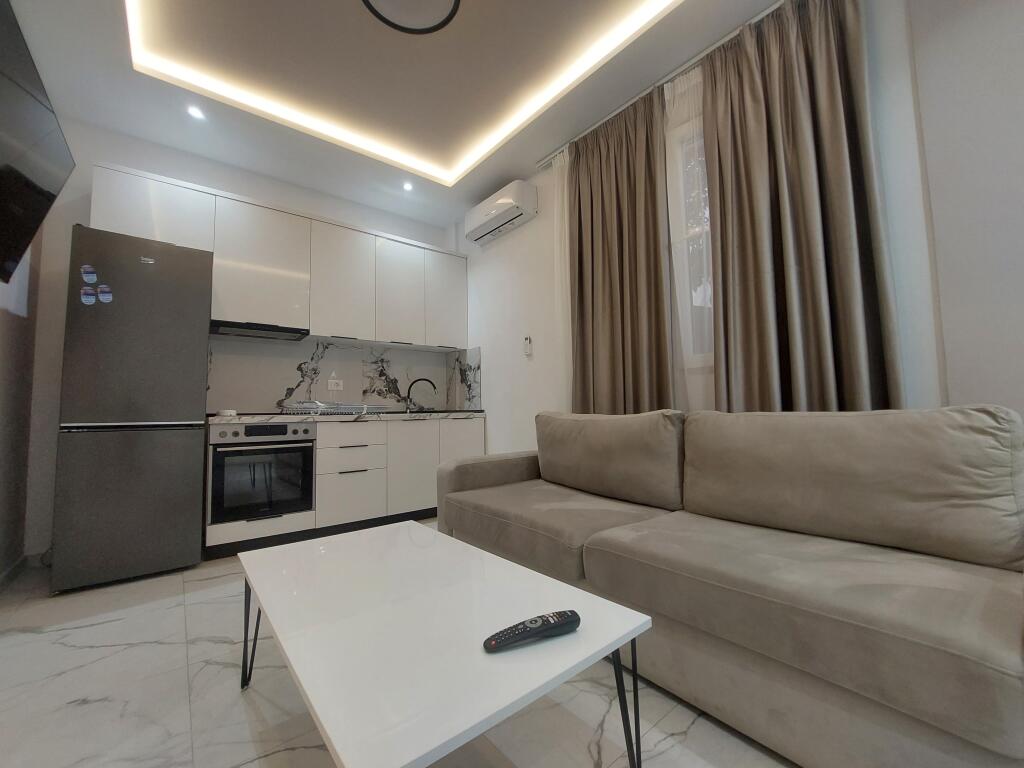 Rent, Apartment 1+1, 5 Maji Street, 450 euro
