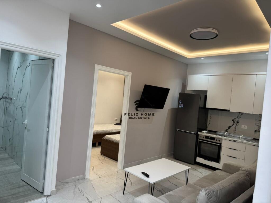 APARTMENT FOR RENT 1+1 CONCORD CENTER 450 EURO